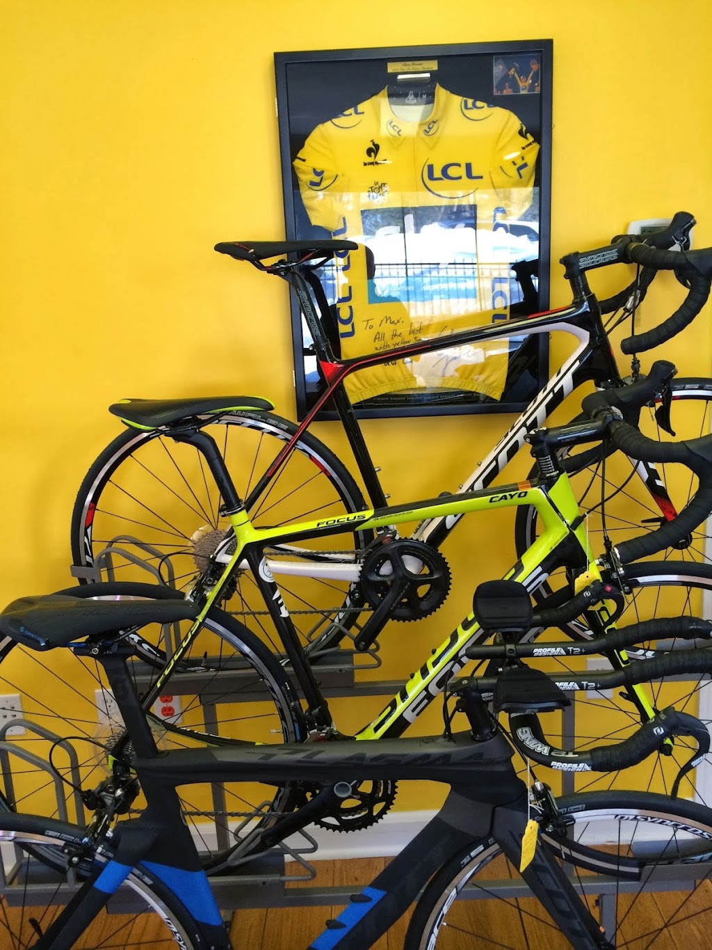 Yellow Jersey Cycle | 34 Pemberwick Rd Rear, Greenwich, CT 06831, USA | Phone: (914) 263-3352