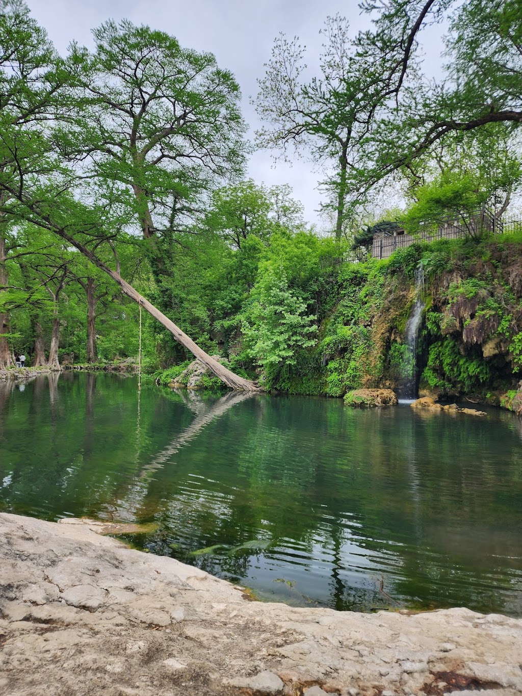 Krause Springs | 52822, Spicewood, TX 78669 | Phone: (830) 693-4181