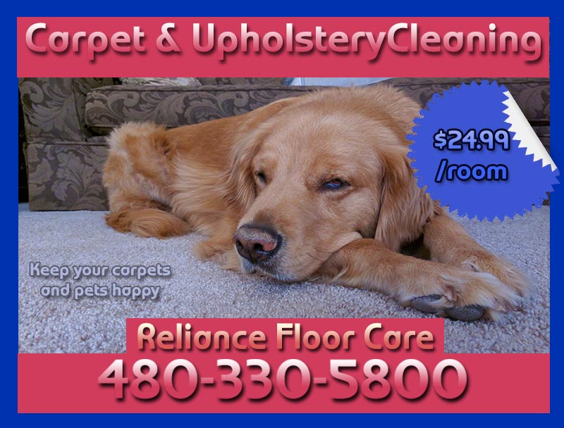 Reliance Carpet Cleaning | 11351 E Ramblewood Ave, Mesa, AZ 85212, USA | Phone: (480) 330-5800