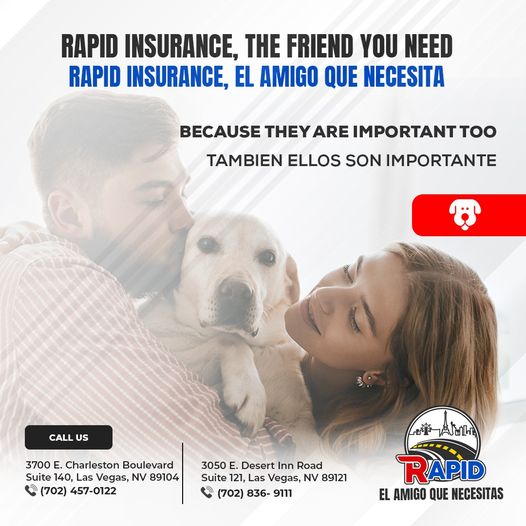 Rapid Insurance & DMV Services | 3050 E Desert Inn Rd Suite 121, Las Vegas, NV 89121 | Phone: (702) 272-5607