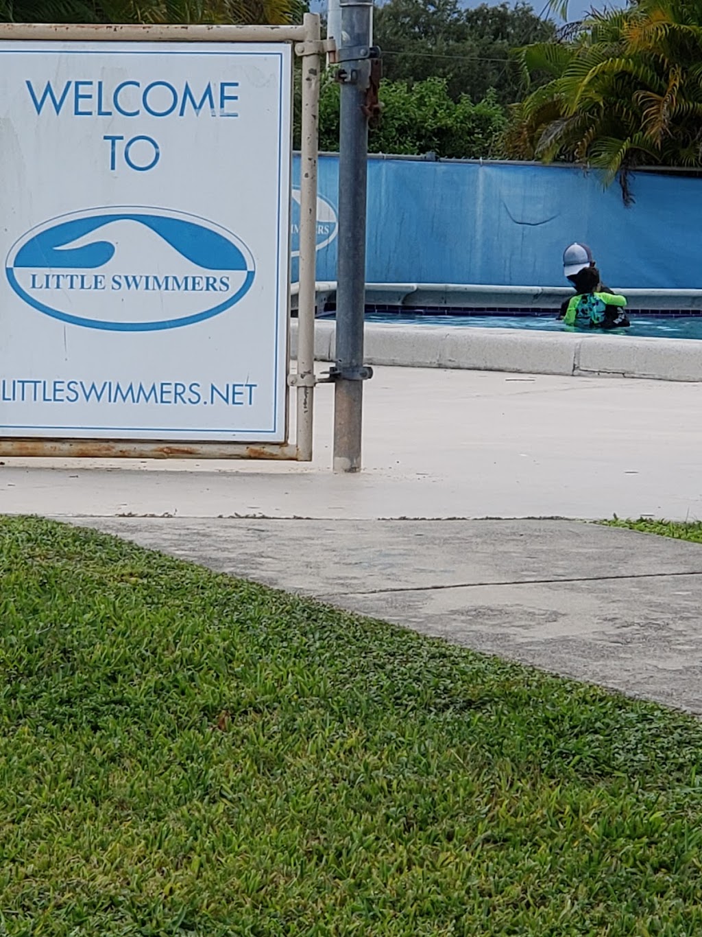 Little Swimmers | 9950 SW 104th St, Miami, FL 33176, USA | Phone: (305) 598-1200
