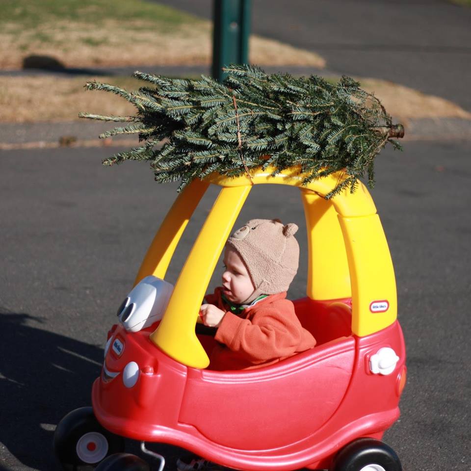 Conrads Christmas Trees | 5645 NC-49, Harrisburg, NC 28075, USA | Phone: (704) 455-9855