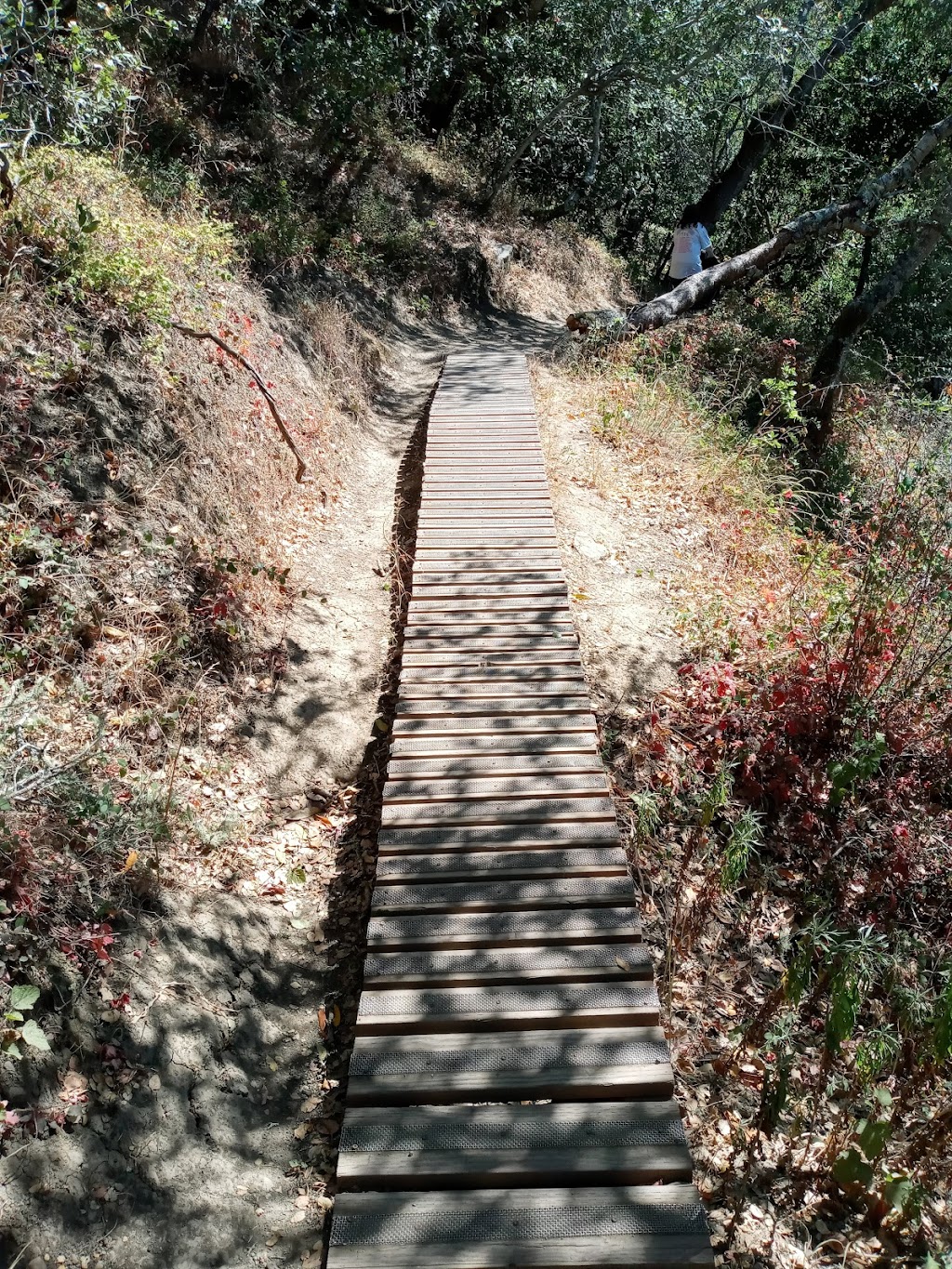 Water Dog Lake Trail head | 2400 Lyall Way, Belmont, CA 94002 | Phone: (650) 595-7441