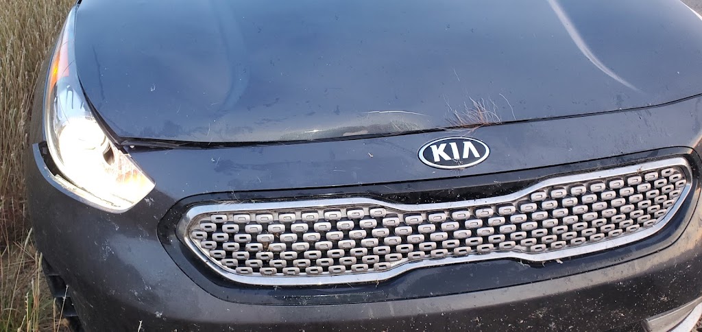 Arlies Collision Specialists LLC | 130 W Main St, Marion, KS 66861, USA | Phone: (620) 382-2480