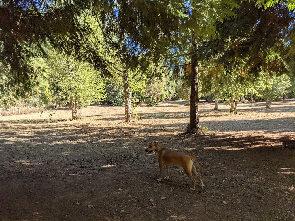 Kane Memorial Dog Park | 10910 NE 172nd Ave, Vancouver, WA 98682, USA | Phone: (360) 397-2285