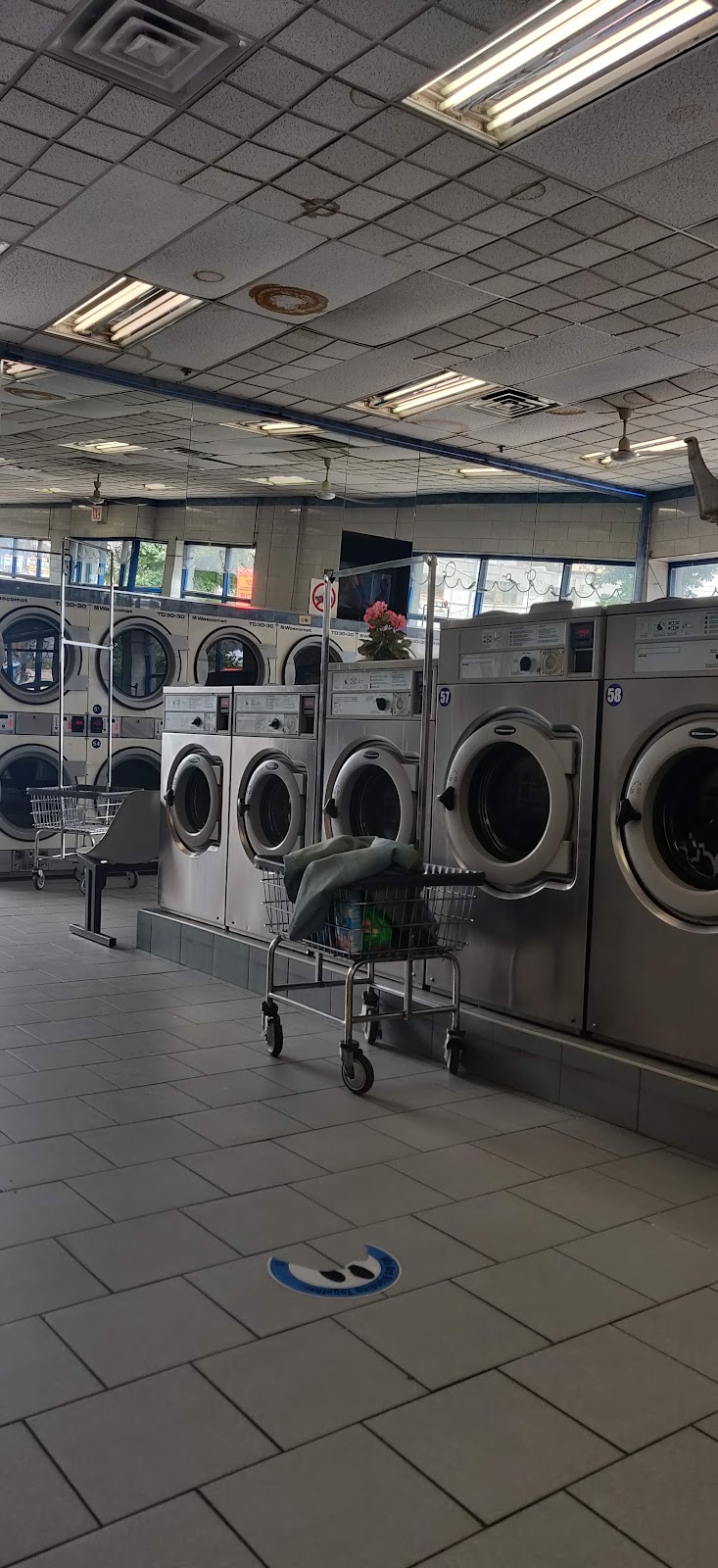 1 Laundromat | 1430 Watson Ave, The Bronx, NY 10472, USA | Phone: (718) 378-2068