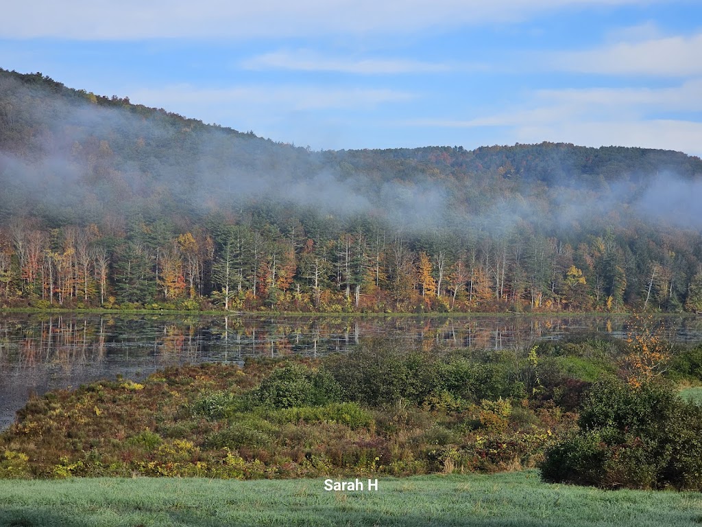 Franklinton Vlaie Wildlife Management Area | Middleburgh, NY 12122, USA | Phone: (607) 652-2302