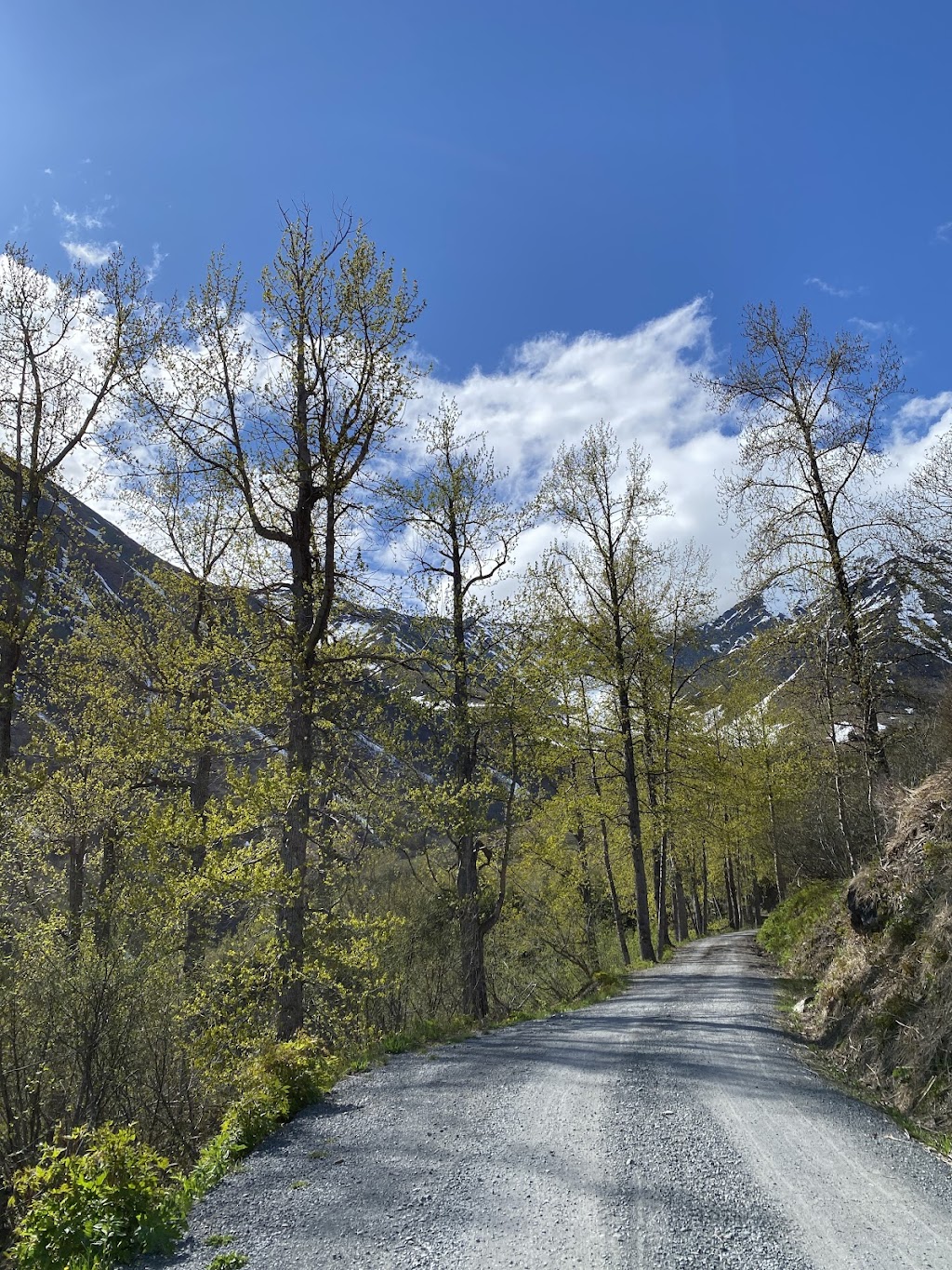 Crow Pass Cabin | Pack Trail, Girdwood, AK 99587, USA | Phone: (907) 783-3242