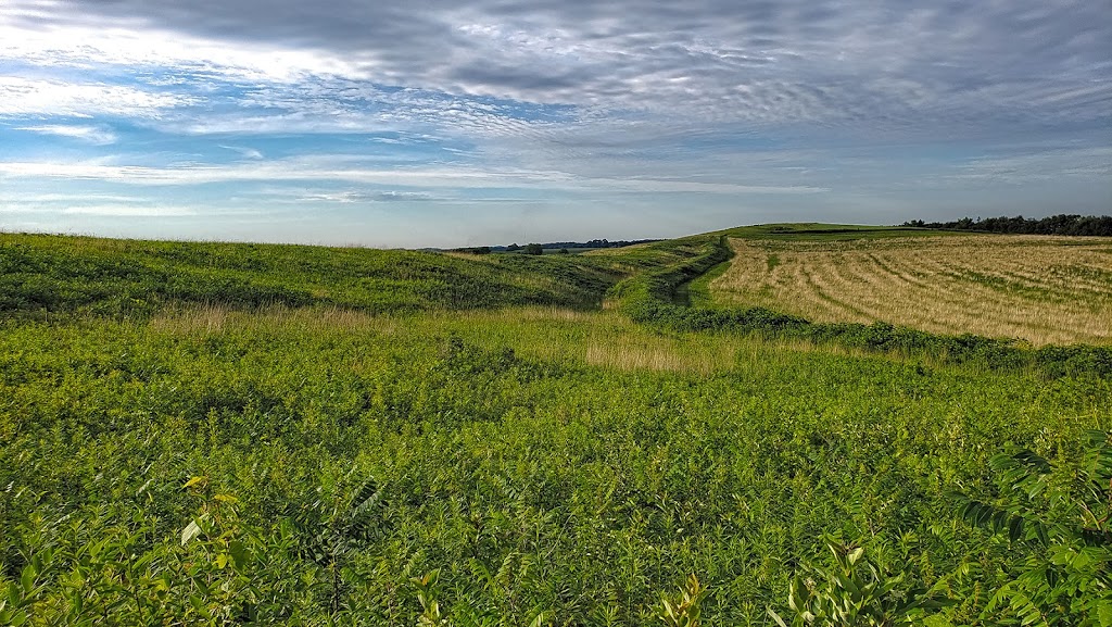 Smith-Reiner Drumlin Prairie State Natural Area | Dane, Cambridge, WI 53523, USA | Phone: (608) 266-2621