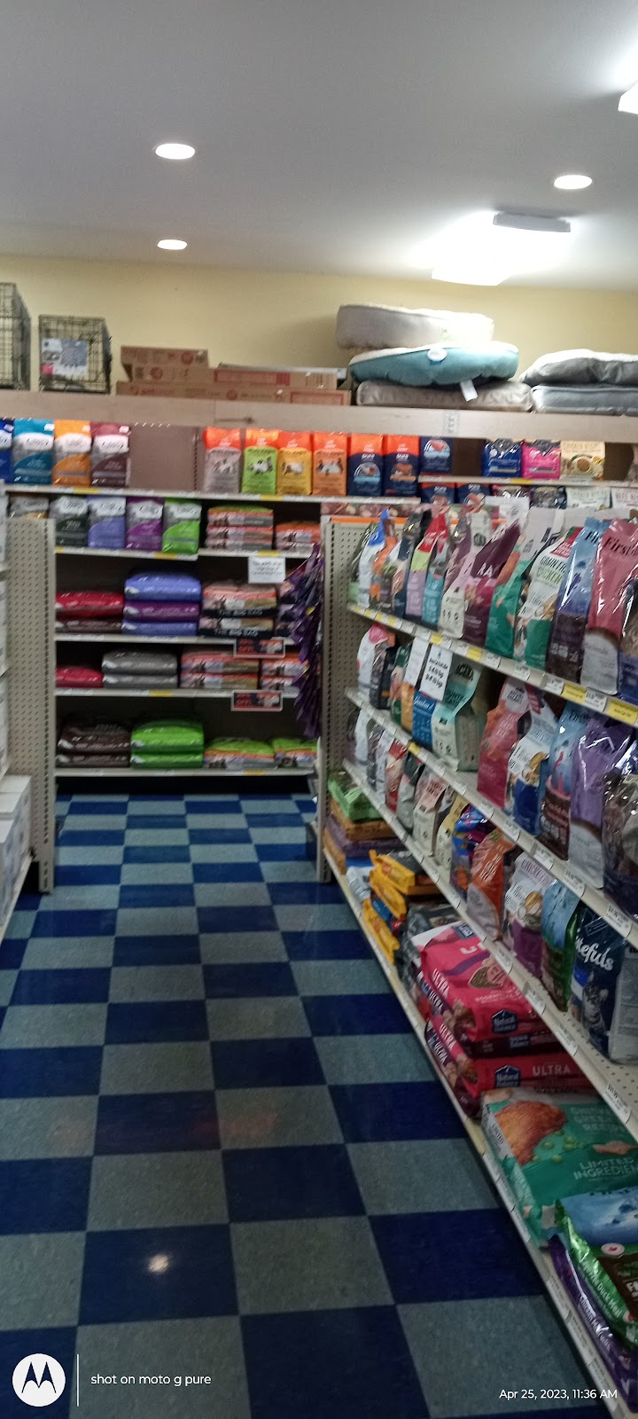 Pet Station Tahoe City | 585 W Lake Blvd, Tahoe City, CA 96145, USA | Phone: (530) 581-4100