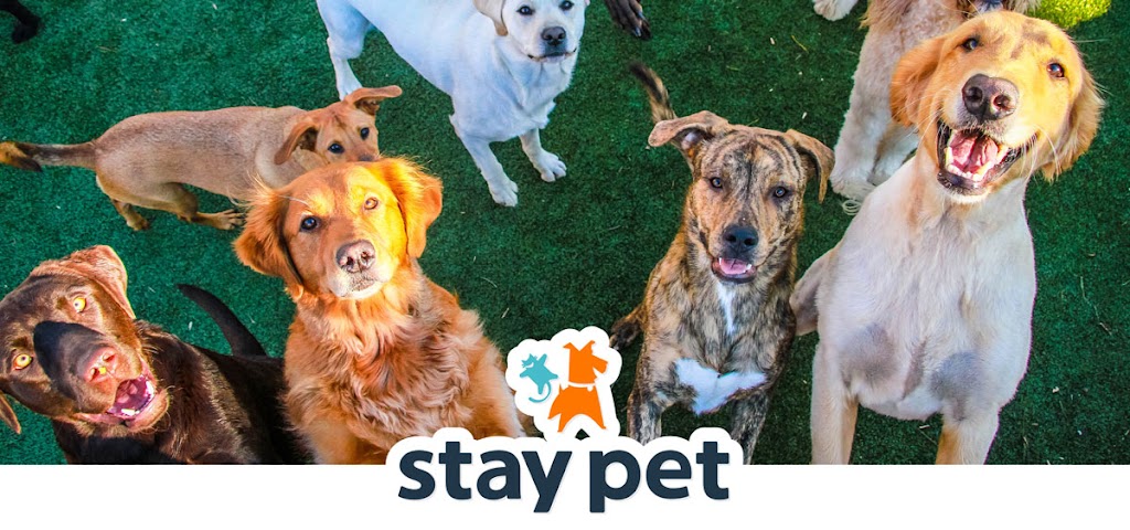 Stay Pet (Resort & Veterinary) | 1209 Old Dorsey Rd, Harmans, MD 21077, USA | Phone: (443) 860-6000