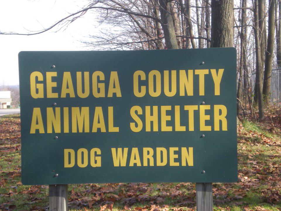 Geauga County Dog Warden | 12513 Merritt Rd, Chardon, OH 44024, USA | Phone: (440) 286-8135