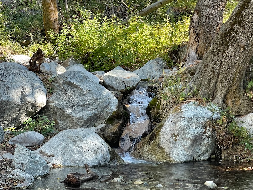 Cucamonga Wilderness | California, USA | Phone: (626) 335-1251