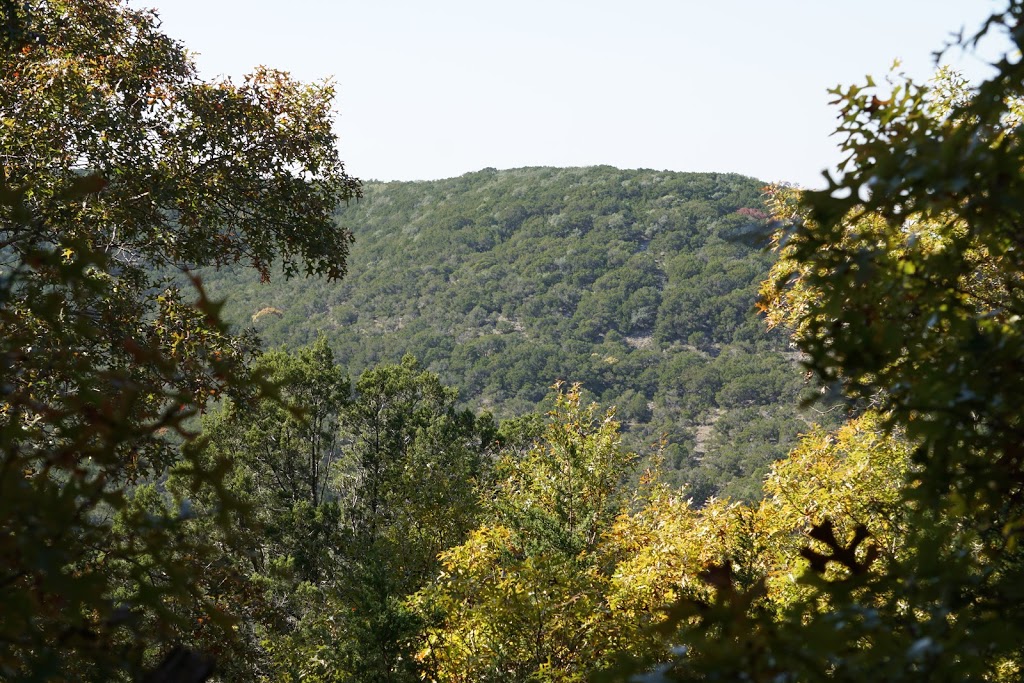 Warbler Vista | Balcones Canyonlands National Wildlife Refuge Farm to Market Rd 1431,, Marble Falls, TX 78654, USA | Phone: (513) 339-9432