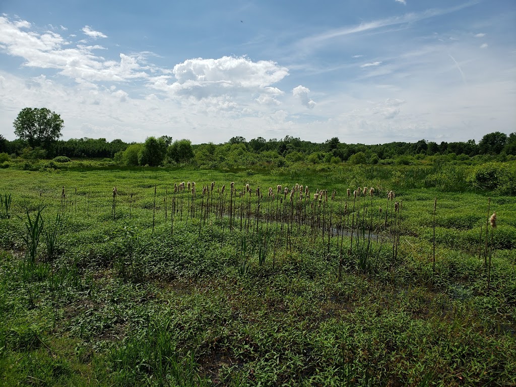 Lost Bridge State Recreation Area | 9214 Lost Bridge Rd W, Andrews, IN 46702, USA | Phone: (260) 468-2125