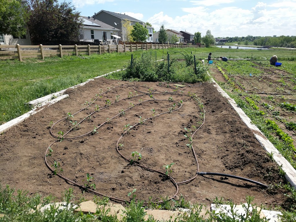 Stonehocker Community Garden | 10950 Fox Run Pkwy, Northglenn, CO 80233, USA | Phone: (303) 457-3542