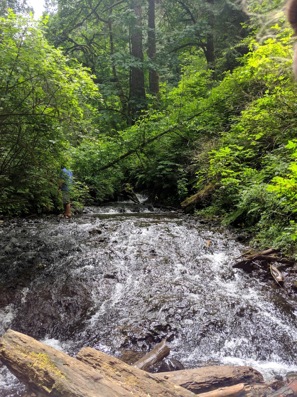 Latourell Falls | Historic Columbia River Hwy, Corbett, OR 97019, USA | Phone: (503) 695-2261