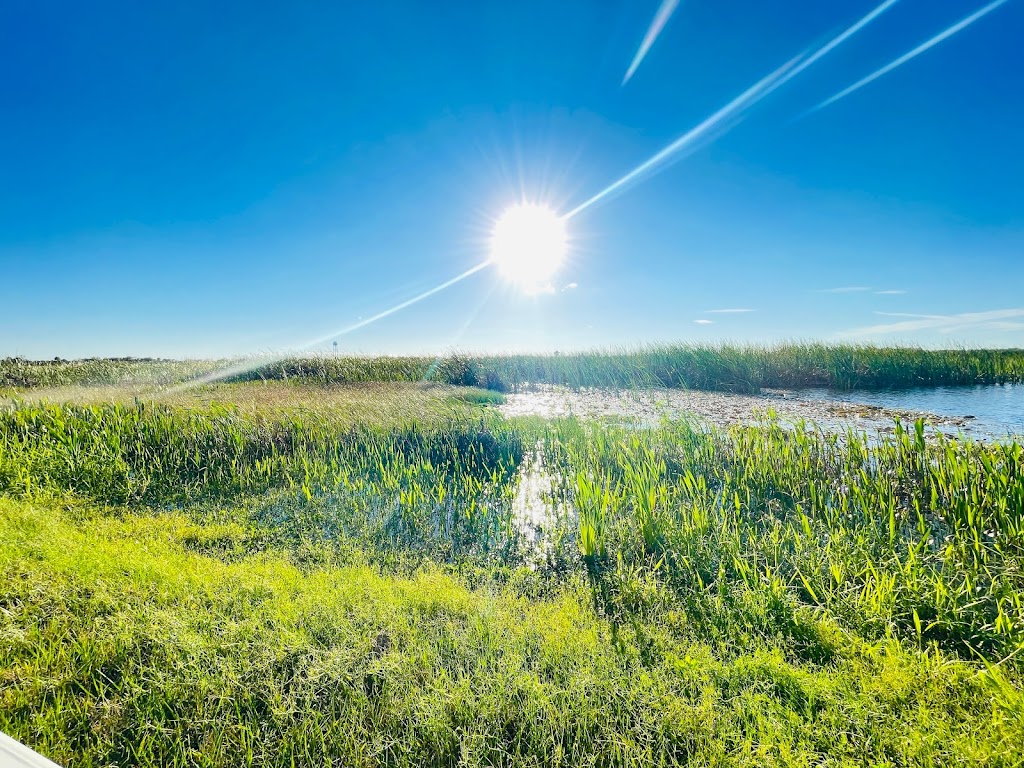 Blue Heron Wetlands | 4800 Deep Marsh Rd, Titusville, FL 32780, USA | Phone: (321) 455-5145