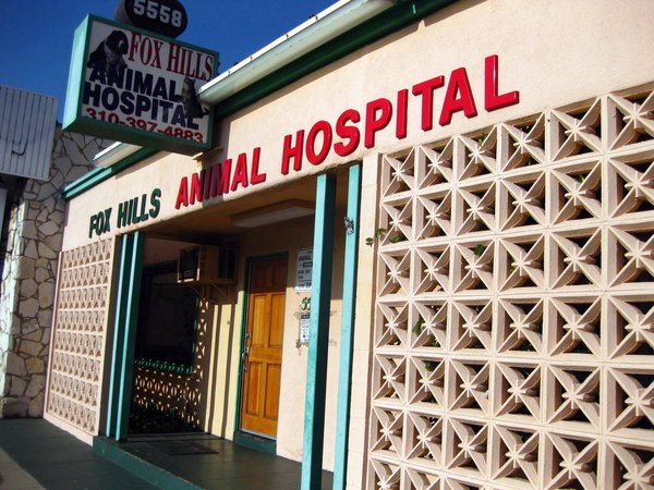 Fox Hills Animal Hospital | 5558 Sepulveda Blvd, Culver City, CA 90230, USA | Phone: (310) 397-4883