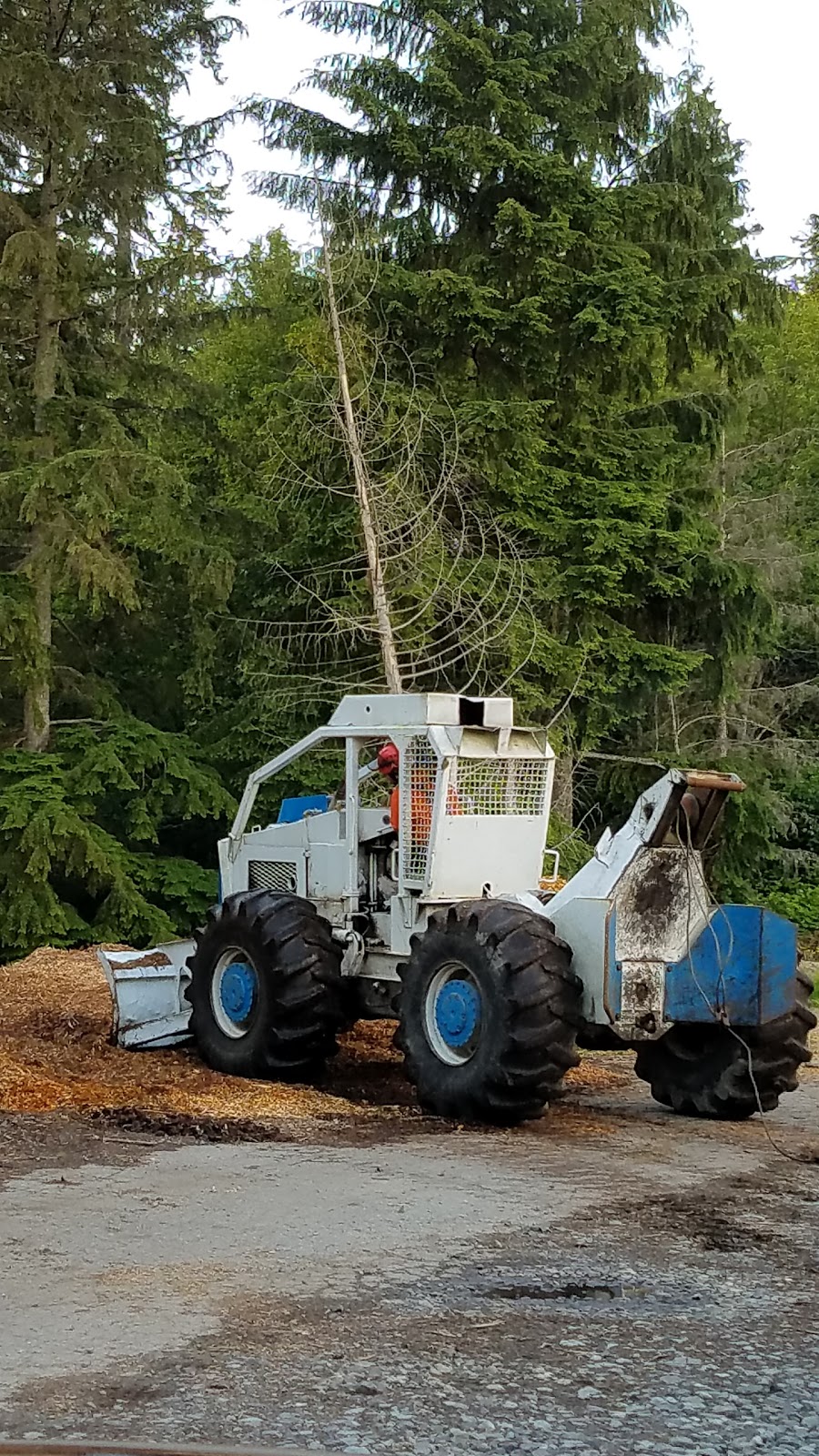 Taylors Snohomish Tree Service | 7717 184th Dr SE, Snohomish, WA 98290, USA | Phone: (425) 903-0559