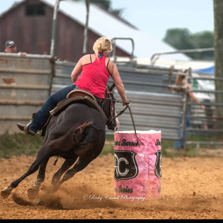 Bar Creek Farms Quarter Horses and Paints | 11920 Bar Creek Ln, Ford, VA 23850 | Phone: (804) 712-2497