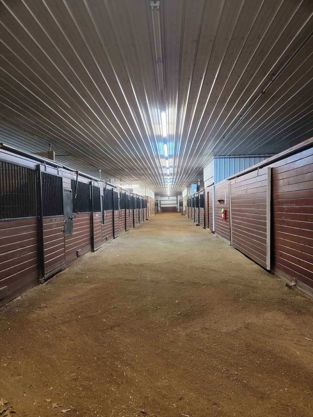 Sunset Stables | 1251 Rosson Rd, Adams, TN 37010, USA | Phone: (931) 494-7792