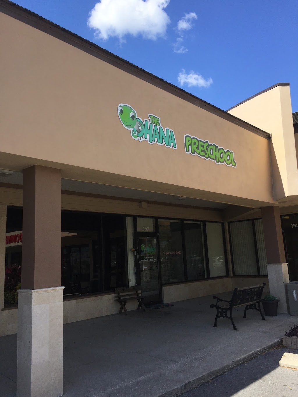 The Ohana Preschool | 31938 US Hwy 19 N, Palm Harbor, FL 34684, USA | Phone: (727) 784-8500