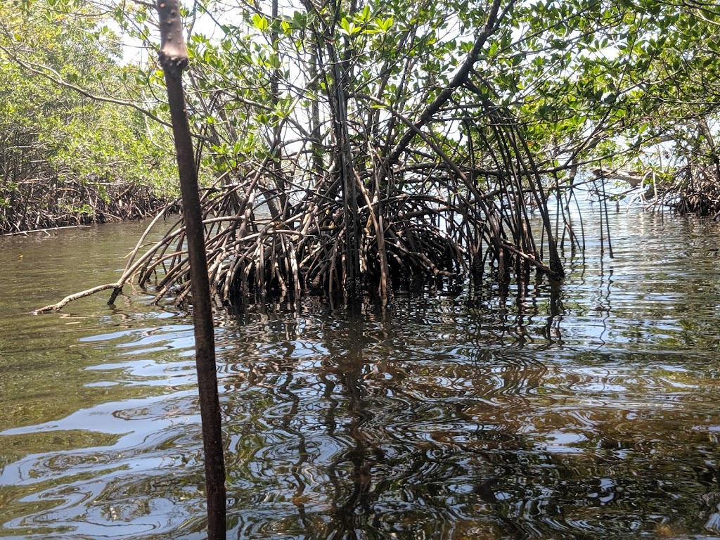 Mangrove Preserve | Homestead, FL 33032, USA | Phone: (305) 230-1144