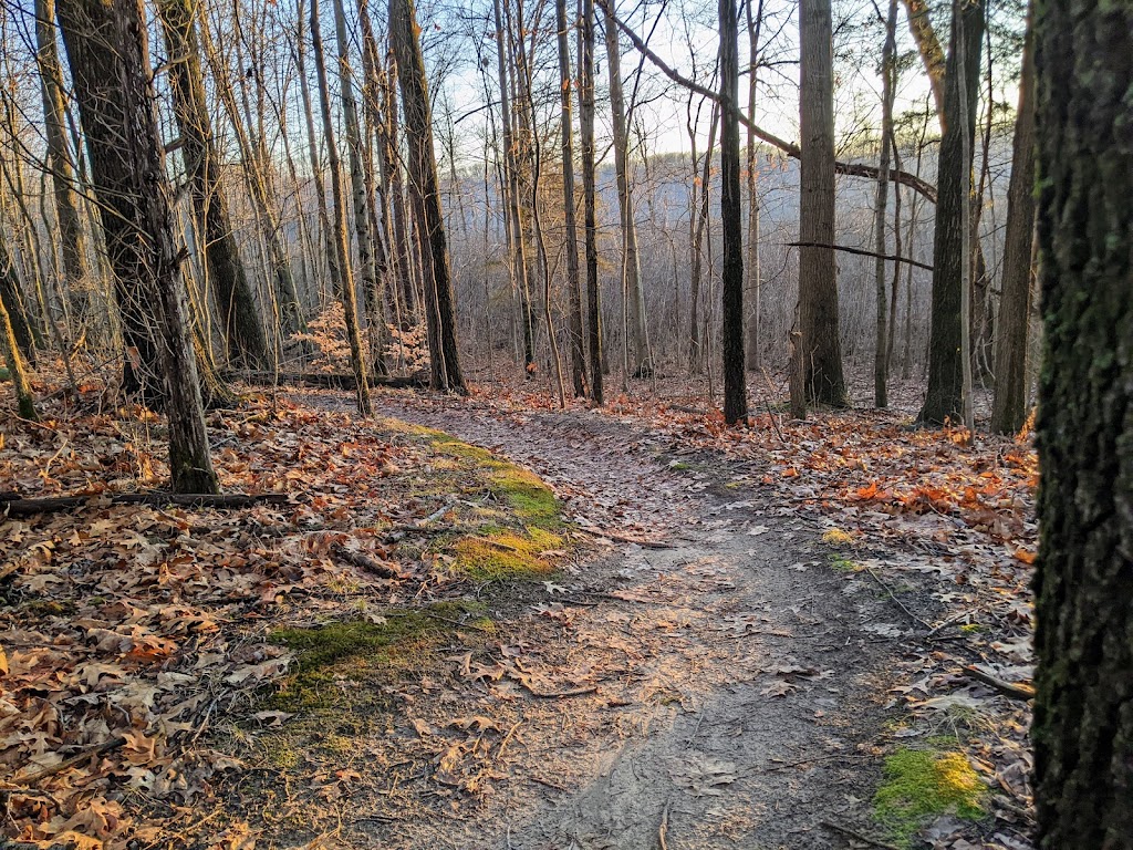 Lookout Shelter | 54386 Co Rd 131, Bristol, IN 46507, USA | Phone: (574) 535-6458