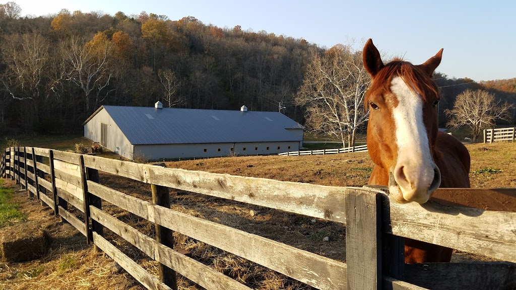 StoneRidge Stables | 13929 Morningview Rd, Alexandria, KY 41001 | Phone: (859) 694-1276