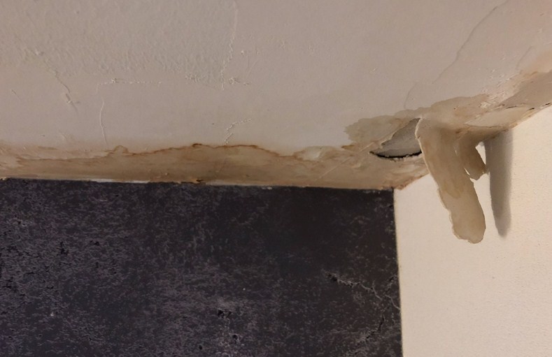 Mold Experts of Utah | 350 John Glenn Rd, Salt Lake City, UT 84116, United States | Phone: (866) 305-2370