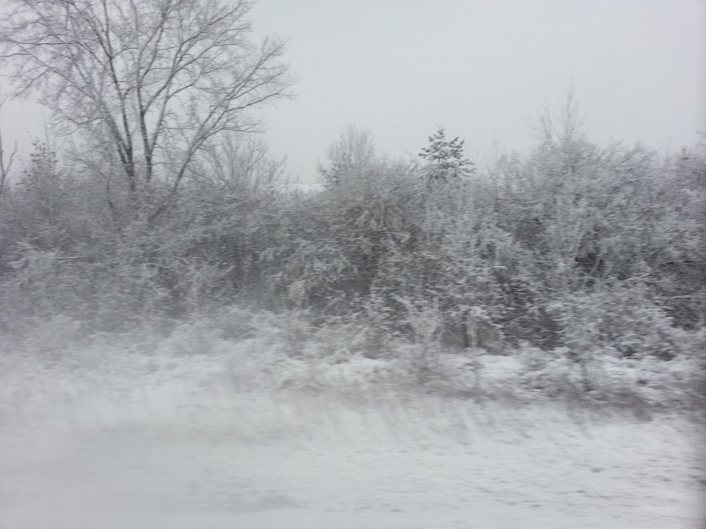 Arbor Hills Nature Area | 3528 Burbank Dr, Ann Arbor, MI 48105, USA | Phone: (734) 794-6000