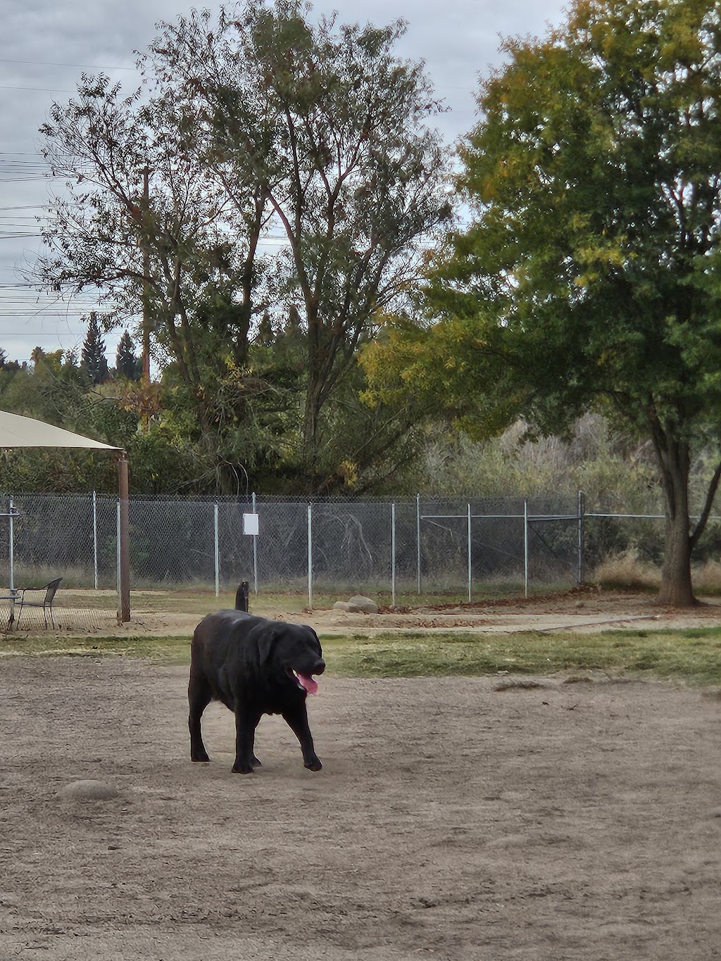 Bear Dog Park | 1565 Pleasant Grove Blvd, Roseville, CA 95747, USA | Phone: (916) 774-5200