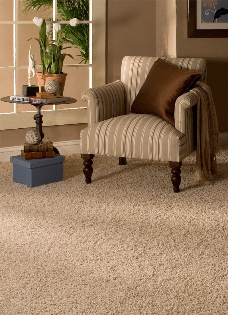 CARPET CLEANING LEWISVILLE | 1181 Valley Ridge Blvd, Lewisville, TX 75077, USA | Phone: (972) 836-6499