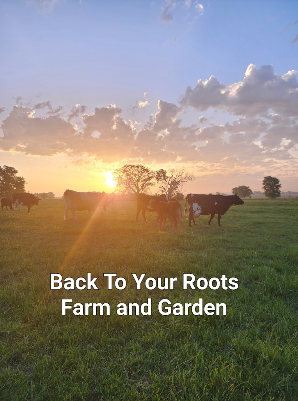 Back To Your Roots Farm | 1026 E 460 Rd, Pryor, OK 74361, USA | Phone: (918) 864-0292