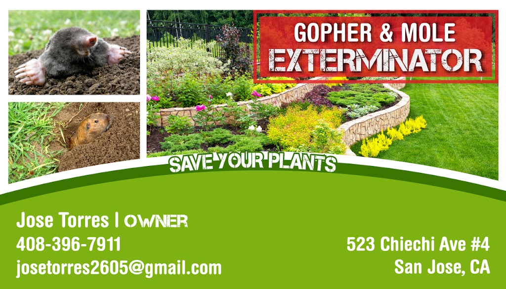 Gopher & Mole Exterminator | 523 Chiechi Ave Suite.#4, San Jose, CA 95126, USA | Phone: (408) 396-7911