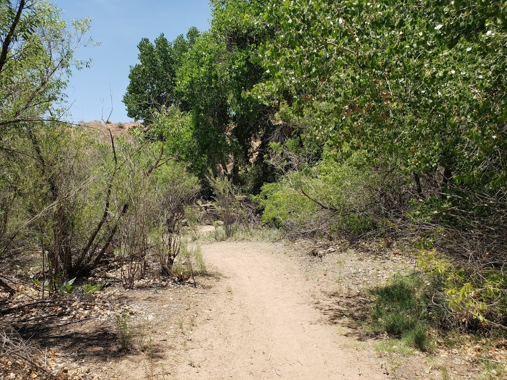 Rio Rancho Bosque Preserve - Riverside Dr Entrance | 1740 Black River Dr NE, Rio Rancho, NM 87144, USA | Phone: (505) 891-5015