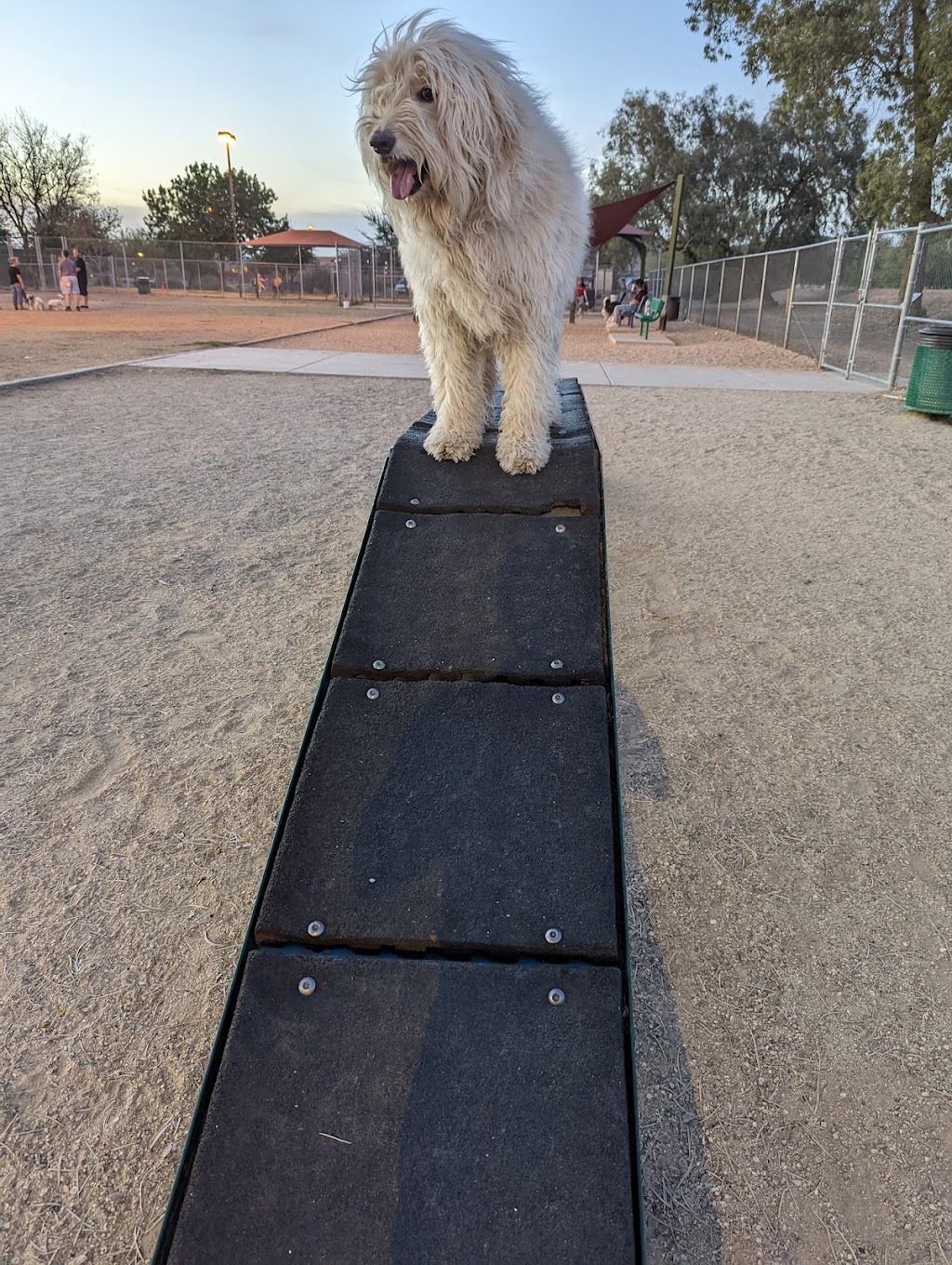 Foothills Dog Park | 19055 N 57th Ave, Glendale, AZ 85308, USA | Phone: (602) 717-8248