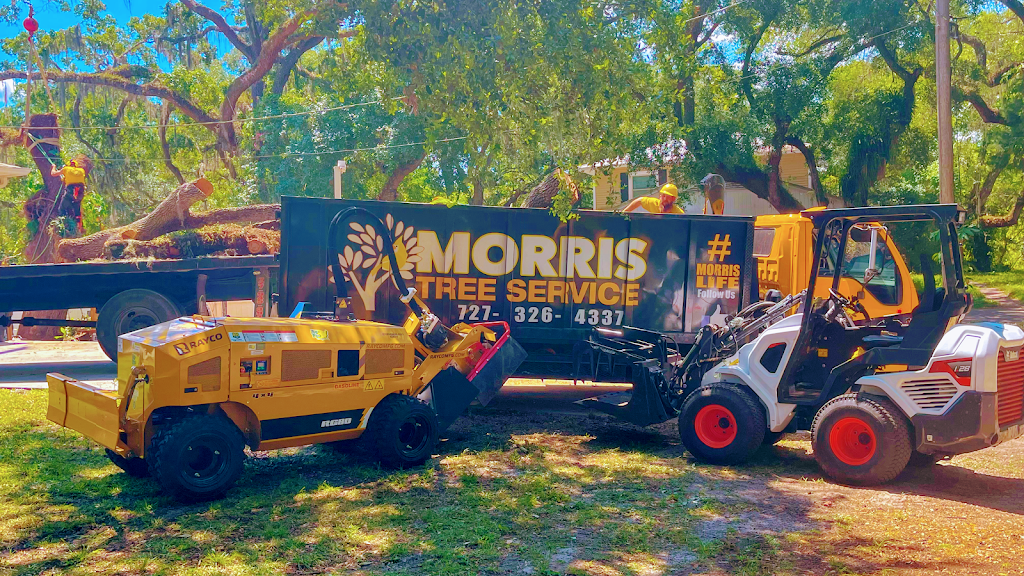 Morris Tree Service | 5532 Auld Ln #2, Holiday, FL 34690, USA | Phone: (727) 326-4337