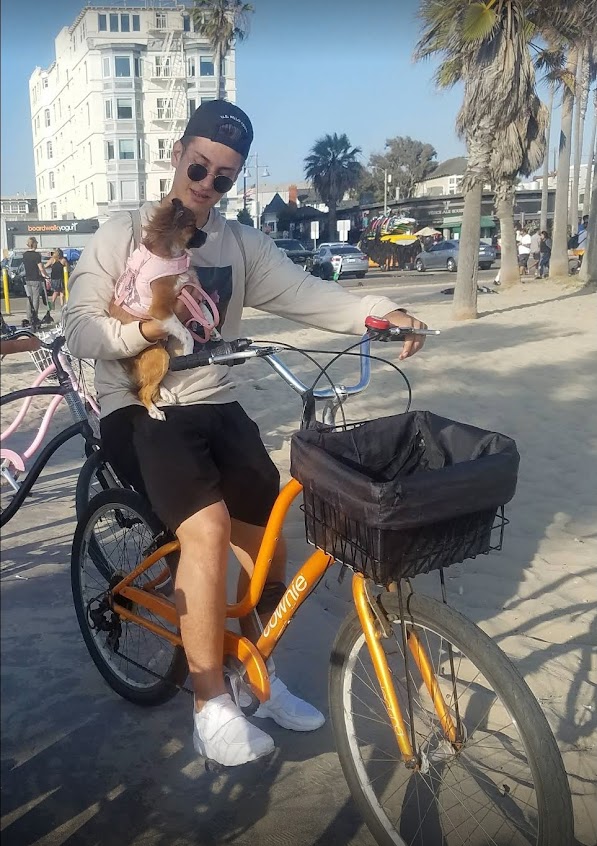 Santa Monica Beach Bicycle Rentals | 1428 4th St, Santa Monica, CA 90401, United States | Phone: (310) 428-5337