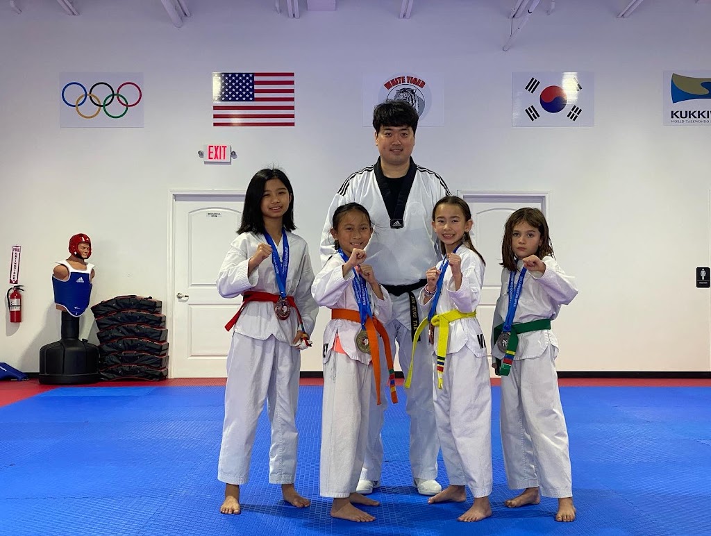 Master Jins White Tiger Taekwondo | 13727 Sunset Canyon Dr #300, Tomball, TX 77377 | Phone: (832) 484-8675