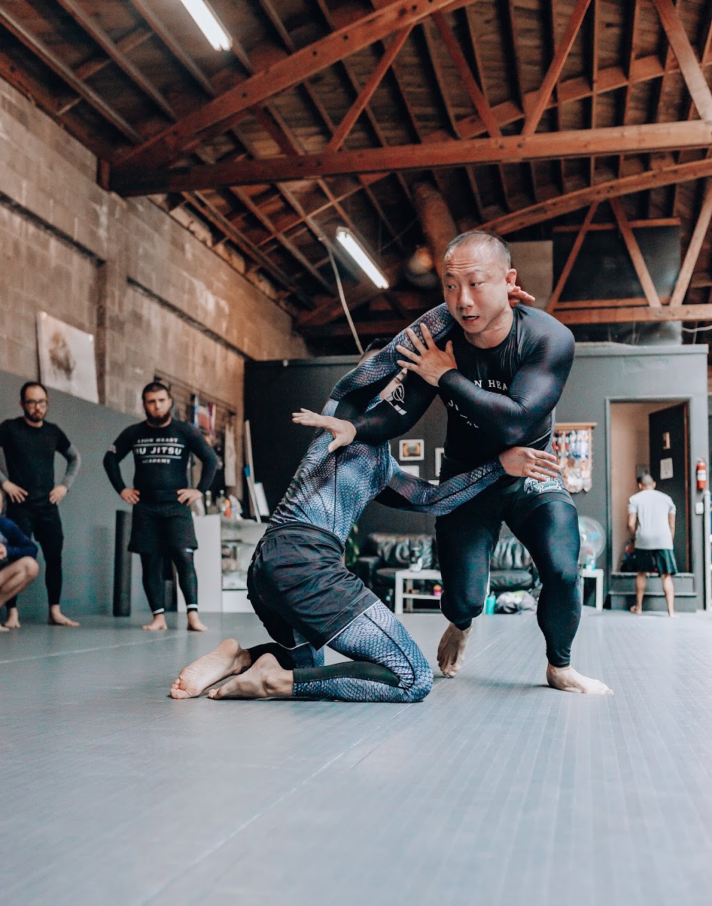 Lion Heart Jiu Jitsu Academy | 2176 E Colorado Blvd, Pasadena, CA 91107, USA | Phone: (626) 219-0341