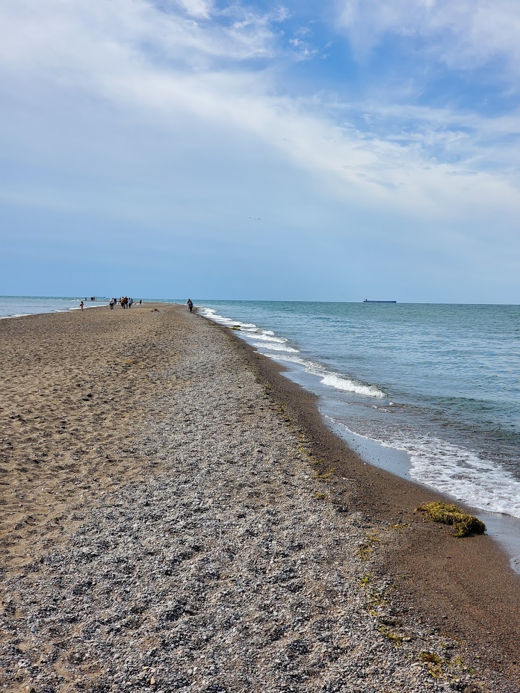 Point Pelee National Park Visitor Centre | Point Pelee Dr, Leamington, ON N0P 2P0, Canada | Phone: (519) 322-2365