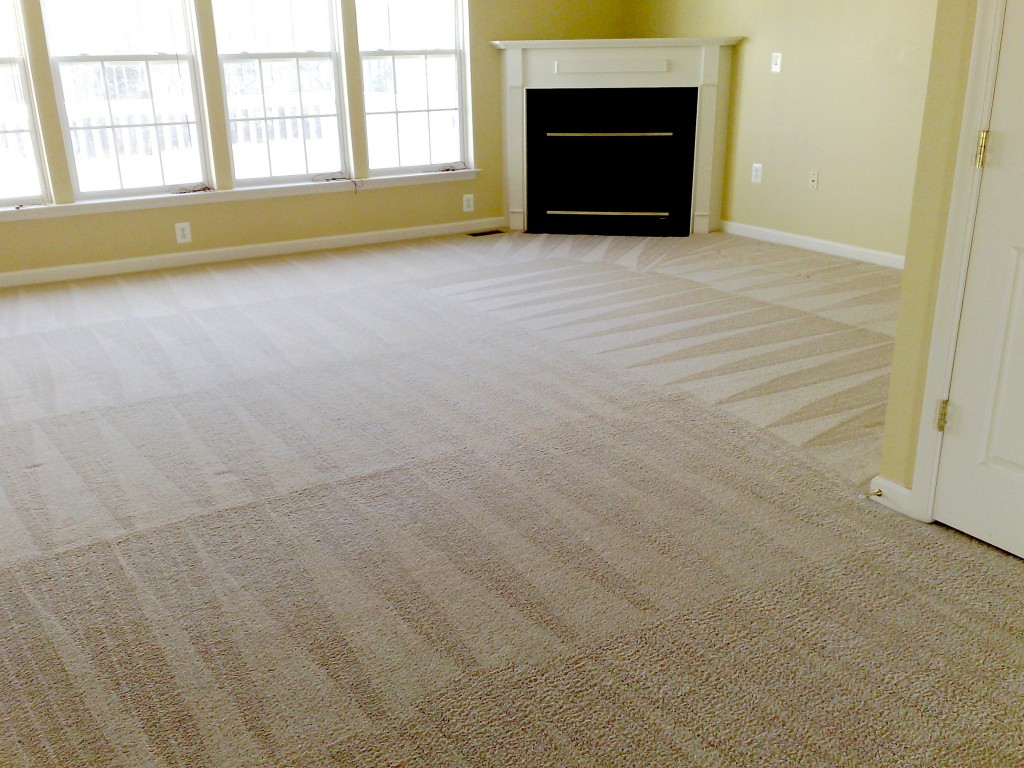 GreenPro Carpet Cleaning | 2785 Sutherland Dr, Thompsons Station, TN 37179, USA | Phone: (615) 589-2444