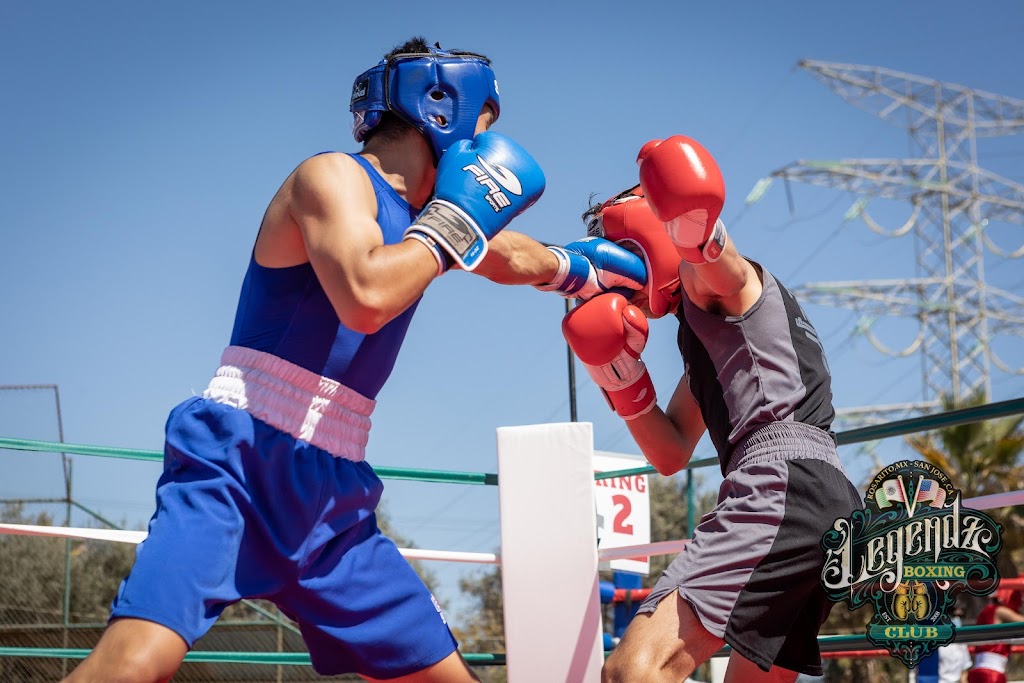 Leyendas Del Boxeo | C. San Vicente, 22707 Rosarito, B.C., Mexico | Phone: (408) 849-8149