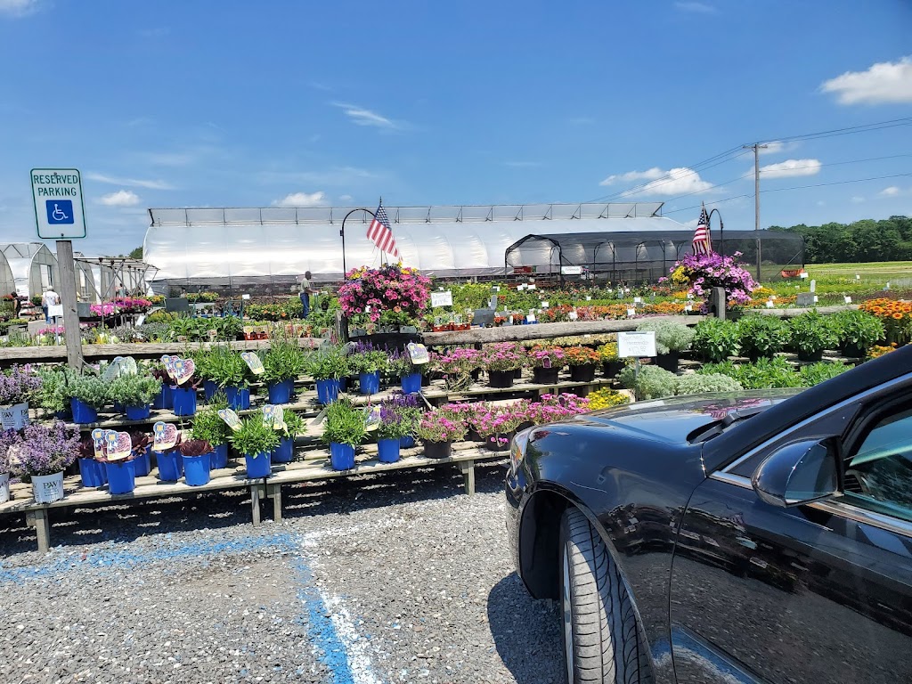 C&M Greenhouses | 470 Union Rd, Vineland, NJ 08360, USA | Phone: (856) 691-7881