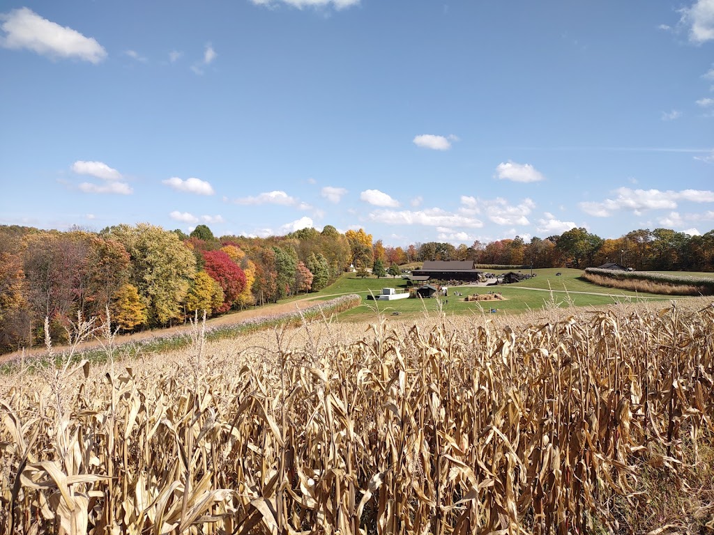 Cheeseman Farm | 147 Kennedy Rd, Portersville, PA 16051, USA | Phone: (724) 368-3233