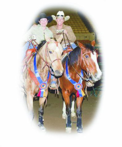 Horse Harmony | 24705 Miller Hill Rd, Los Gatos, CA 95033, USA | Phone: (408) 842-1015