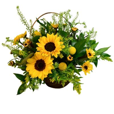 Designs of the Times Florist | 1510A S Wickham Rd, West Melbourne, FL 32904 | Phone: (321) 676-2452