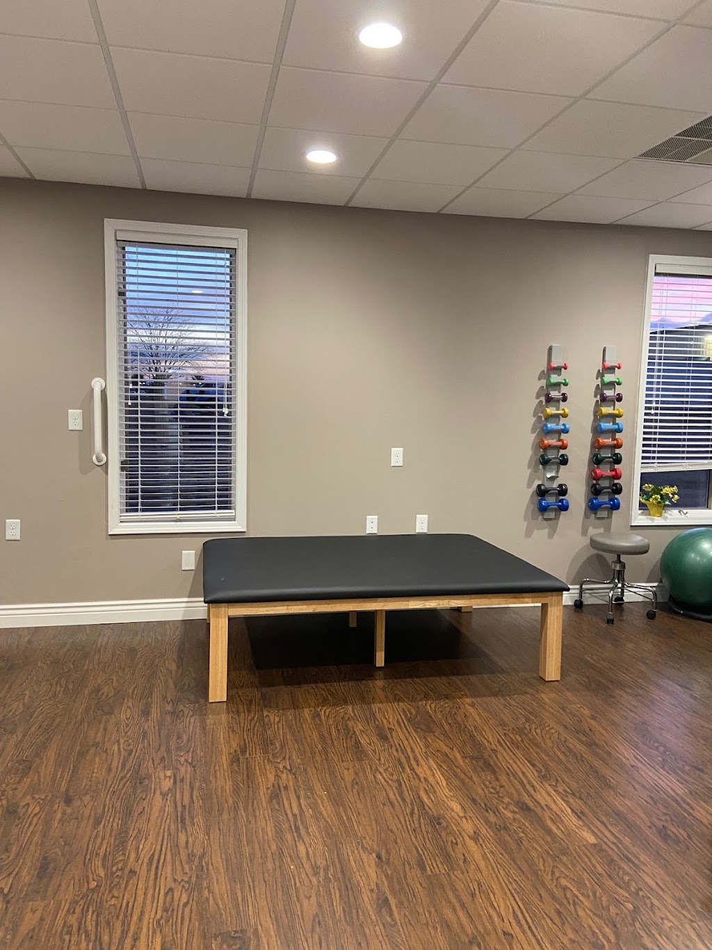 Premier Rehab: Chiropractic and Pain | 4460 N Illinois St, Swansea, IL 62226 | Phone: (618) 236-3738